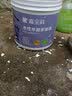 嘉宝莉（CARPOLY）水性木器漆油漆家具改色漆翻新漆地板木器修补入户门改色修复木门 纯白 1KG 约刷4-5平米（送工具） 实拍图
