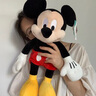 迪士尼米奇米妮毛绒玩具生日情人节520礼物玩偶米老鼠抱枕公仔娃娃男女 经典款米奇【45cm】 经典款 实拍图