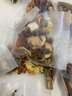 养年华13味草本三清茶300g牛蒡橘皮蒲公英根 口气清新茶 实拍图
