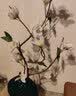 帕美居 新中式花瓶鹿摆件客厅卧室家居装饰品电视柜酒柜房间布置开业礼 木绿花瓶+白迎春花 实拍图