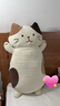 LIV HEART&HAPiNS猫咪玩偶抱枕毛绒玩具玩偶公仔生日礼物 FFN抱枕玩偶奶酪猫 75厘米 实拍图