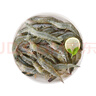 鲜京采 鲜活特大海白虾500g/份 15-20只 南美白对虾/明虾 活鲜到家 实拍图