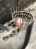 耐尔尼鸡饮水器鸡自动饮水器小鸡鸭鹅雏鸡饮水桶鸡用水槽饮水壶养鸡设备 5斤装鸡饮水桶 实拍图