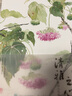 清雅之心 新田小写意 花鸟国画基础教程写意梅兰竹菊虫鸟水墨国画技法入门零基础教程书籍古风传统 实拍图