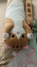 TaTanice可爱猫咪长条抱枕女生睡觉圆柱枕儿童玩偶毛绒玩具六一儿童节礼物 实拍图