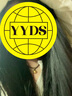 中国黄金（CHINA GOLD）黄金吊坠女足金小胖福平安锁吊坠金坨宝宝婴儿金锁项链生日礼物 京速达*足金项链【约0.6g-黑绳】 实拍图