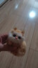 亦趣会叫仿真提篮猫咪毛绒玩具篮子猫玩偶花篮猫女孩儿童生日礼物 提篮玫红色蕾丝橘猫带叫声 实拍图