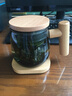 木笙玩物（MUSHENGWANWU）玻璃茶杯茶水分离杯子高档办公室过滤喝茶水杯带把泡茶杯男士 青钝趣笙2B-有内胆有杯垫 300ml 实拍图