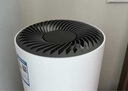 拜飞宠物空气净化器猫毛发吸毛器猫用去浮毛除异味过敏原去臭杀菌神器猫咪狗毛清理器养猫净化机妇女节 【四面吸毛-风大音静-除甲醛】标准款 实拍图