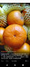 优仙果新鲜沃柑 纯甜橘子柑橘新鲜水果礼盒生鲜整箱10斤 9斤大果单果70mm+ 晒单实拍图