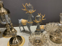 雅尊（Yazun） 欧式客厅富贵竹水晶玻璃花瓶仿真花摆件 创意餐桌干花插花装饰品 青古铜一套+富贵玫瑰套装 实拍图
