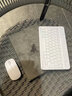 卫神适用荣耀平板9/magicpad3键盘保护套磁吸柔光12.1英寸X8Pro新款V8Pro保护壳V7Pro电脑鼠标套装 【简约灰+钢化膜+背光白键盘+白鼠标+收纳包】 荣耀平板9 柔光版【12.1英 实拍图