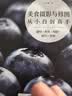 美食摄影与修图从小白到高手：器材+布光+构图+技巧+创意 实拍图