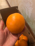 拾橙 江西赣南脐橙赣州橙子赣州橙子安远寻乌信丰脐橙 精美礼盒大果净重9斤装 实拍图