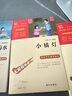 全3册 冰心儿童文学集 寄小读者繁星春水小橘灯 三年级下册四年级下册推荐课外书 课外阅读冰心全集 新老版本随机发货 实拍图
