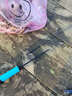 光威（GW） 鱼竿28调光威溪流竿碳素超轻硬钓鱼竿手竿黑坑鲤鱼杆 6.3m +成品线钩漂 实拍图