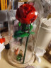 乐高（LEGO）玫瑰花40460 花束拼搭收藏款 女孩积木拼装玩具生日创意礼物 玫瑰LOVE玻璃罩小王子套装 晒单实拍图