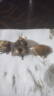 醉蟹生腌小螃蟹 罐装即食小海鲜 小黄蟹子 滂蜞白玉蟹下酒菜凉菜 甜辣【地道苏北口味】 500克 实拍图