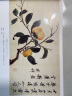 经典全集《沈周画集》山水画册页8开大临摹范本书籍中国画入门教材 写意花鸟人物梅兰竹菊作品集杨建飞主编 实拍图