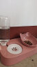 斑队长 猫碗狗碗15°护颈双碗自动饮水喂食宠物猫盆狗盆带瓶 猫咪用品 蜜桃粉 中号-适合8斤内犬猫 晒单实拍图