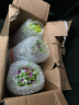 伊芙美小雏菊仿真花假花盆栽花艺摆件客厅家居餐桌办公室桌面装饰品摆设 红莲黄满天星+陶瓷love瓶 实拍图