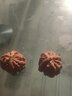 欧梵洛【青皮下树】青皮文玩核桃四座楼狮子头虎头官帽橄榄核桃文赌青皮 盘龙纹狮子头(54-55mm一对+工具) 实拍图