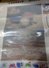 帕提拉（patila）钻石画2023新款美丽日出客厅卧室玄关水晶点贴钻画十字绣简约大气 A款 圆钻 画布30x40+带白框+彩盒装 实拍图