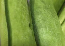 京百味天津沙窝萝卜 2.5KG 甜脆水果萝卜鲜绿青新鲜蔬菜春节年货礼盒 实拍图
