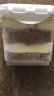 芝洛洛奶酪罐子蛋糕量贩装650mL*2罐巧克力抹茶慕斯大罐罐盒子蛋糕甜品 晒单实拍图