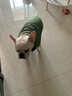 DADAGOU法国斗牛犬衣服宠物棉衣巴哥沙皮胖狗狗秋冬装棉背心加绒加厚棉衣 实拍图