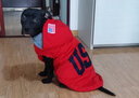 楚克奇（CHUKCHI）大狗衣服边牧金毛中大型犬冬装狗棉衣马犬马甲背心连帽两腿喜庆 红色 32号颈围60CM*胸围82CM*背长65CM 实拍图