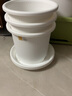爱丽思（IRIS）花盆托彩色Deepot圆型盆栽花盆托加厚接水盘树脂塑料托盘花盆托 8号白色【搭配7号花盆】 实拍图