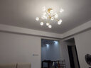 雷士（NVC）北欧现代轻奢智能网红led萤光客厅吊灯餐厅吊灯中山灯具灯饰套餐 15头吊杆 【三室两厅+浴霸*2】 实拍图