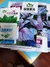 紫苏种子可食用蔬菜大叶野菜紫苏庭院阳台盆栽大棚四季种植菜种子 紫苏种子【5包 约1500粒】 实拍图