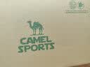 骆驼（CAMEL）男鞋 春夏户外休闲鞋舒适透气网面情侣运动休闲网鞋轻质 A922303150 灰/白男款 43 实拍图