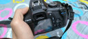 佳能（Canon） EOS 2000D 18-55套机 单反数码相机 高清照相机 单机+18-55mm III镜头 保税仓发货 晒单实拍图