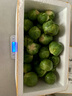 绿食者 新鲜孢子甘蓝3-5斤 迷你小包菜 小卷心菜 西餐沙拉食材蔬菜 5斤 实拍图