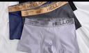 真维斯（JEANSWEST）男士内裤纯棉平角裤大码四角4条 实拍图