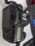 佳能（CANON） 5d4 5D Mark IV 专业全画幅单反相机单机/套机 4K视频单反相机 EF24-105mm f/4L IS II USM 实拍图