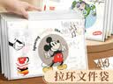 【迪士尼授权】A4拉环文件袋透明磨砂 漫威/米奇/公主/玩具总动员系列 资料袋办公学生试卷票据收纳 【PRINCESS 公主系列】随机1个装 实拍图