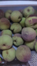 荣果正宗山东青州蜜桃脆桃春雪水蜜桃新鲜时令水果应季桃子小毛桃冬桃 4.5-5斤实惠装 实拍图