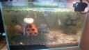 YEE鱼缸金晶超白鱼缸客厅桌面小鱼缸玻璃草缸龟缸家用小型生态金鱼缸 400*230*250【标准套餐】 实拍图