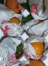 鲜菓篮  四川丑橘耙耙柑粑粑柑柑大果橘子应季礼盒水果 青 见果冻橙带箱9-10斤(70-80mm) 新鲜水果 实拍图