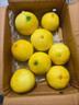 黄金葡萄柚2024年新鲜柚子当季水果福建黄肉蜜柚甜西柚整箱 带箱5斤中果【5-7个】 实拍图