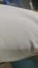 必迈（bmai）跑步运动健身训练长裤男春秋防风慢跑裤子抓绒加厚速干裤子男 实拍图