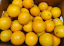 京鲜生 褚橙云南冰糖橙 橙子 优级果 L 5kg装 单果约130g起 实拍图