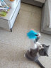 猫玩具 逗猫棒激光笔猫抓板猫转盘球宠物逗猫咪玩具套装 木质逗猫棒 实拍图