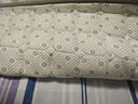 罗兰家纺可水洗全棉家用床垫保护垫 薄款防滑可折叠软垫床褥垫被双人单人 全棉抗菌床褥罗马假日  反面颗粒 200cm*150cm 实拍图