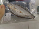 鄂峰 翘嘴鱼 湖北特产阳干大白刁 淡水鱼白鱼咸鱼 风干刁子鱼腌鱼整条 阳干大白刁500g*2条（整条开背） 实拍图