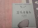 石头与鸟儿  实拍图